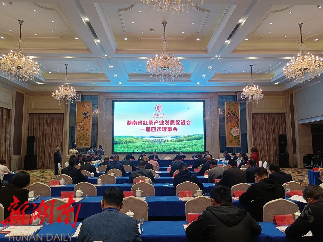 省红茶产业发展促进会一届四次理事会在新宁召开_邵商网